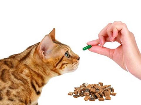 Вітаміни, мінерали та ласощі для котів